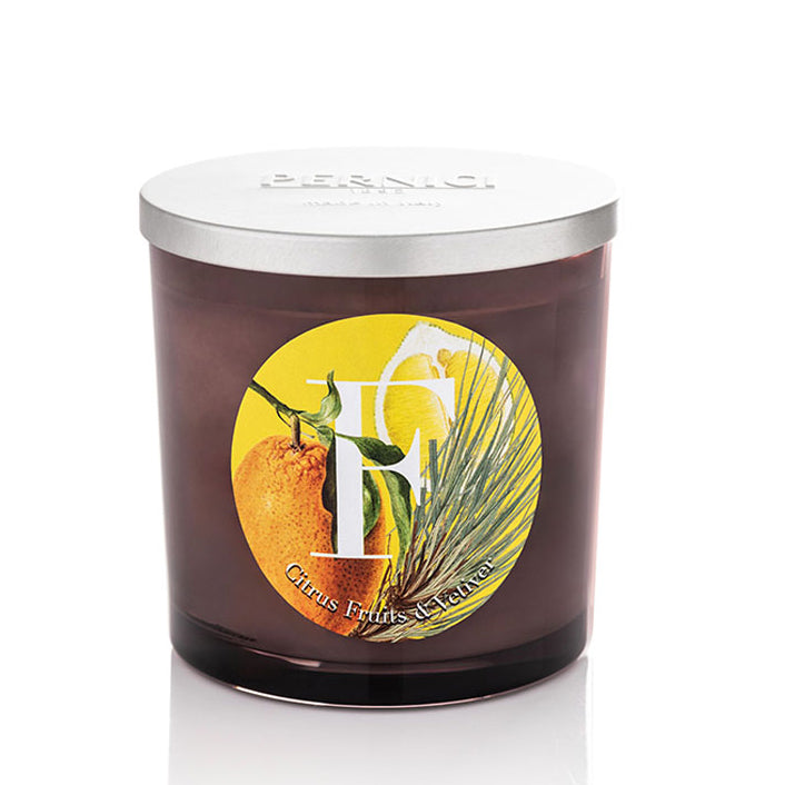 Candela Profumata Fragranza Agrumi - Citrus Fruits & Vetiver